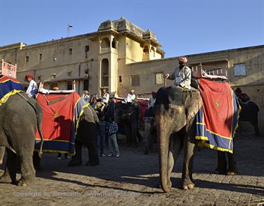 04 Fort_Amber_and Elephants,_Jaipur_DSC4977_b_H600